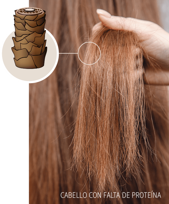 cabello-necesita-proteinas-1-min